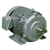 昗弨宆(媟庢?zhèn)钑t偗宆)